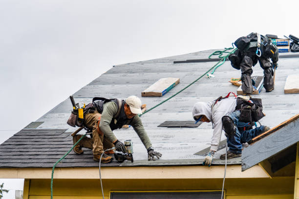 Professional Roof Installation technician working in Rockville, MN
